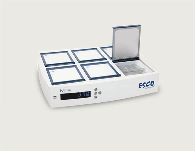 benchtop 인큐베이터
