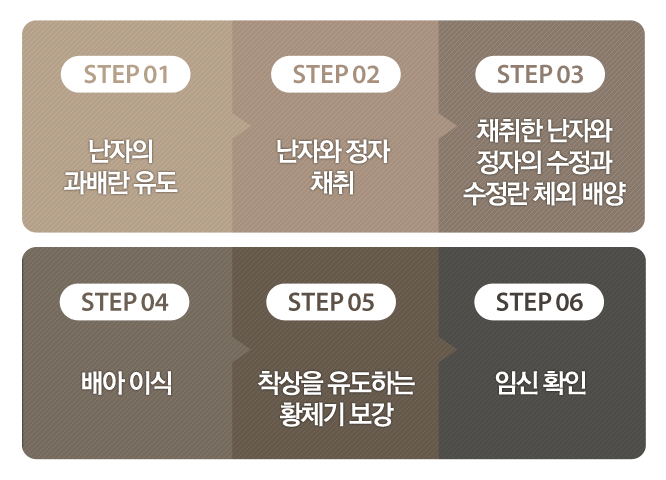 시험관아기시술